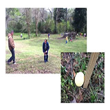 Egg Hunt