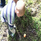 Egg Hunt